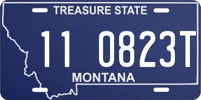 MT license plate 110823T