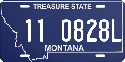 MT license plate 110828L