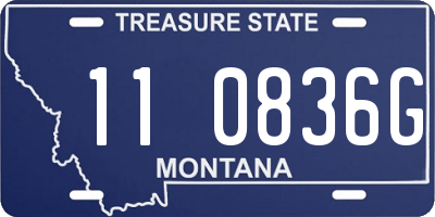 MT license plate 110836G