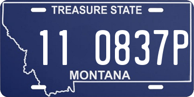 MT license plate 110837P