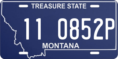 MT license plate 110852P