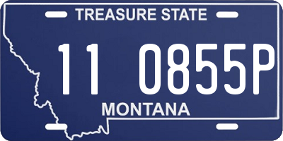 MT license plate 110855P