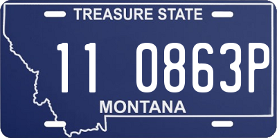 MT license plate 110863P
