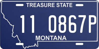 MT license plate 110867P