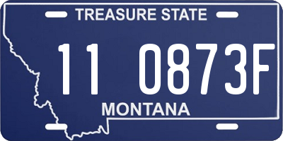 MT license plate 110873F