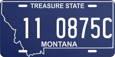 MT license plate 110875C