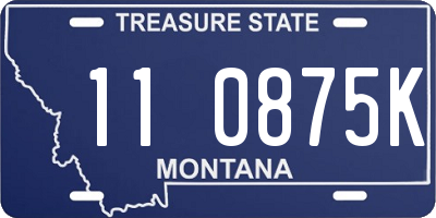 MT license plate 110875K