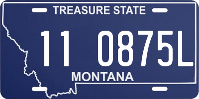 MT license plate 110875L