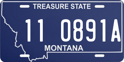 MT license plate 110891A