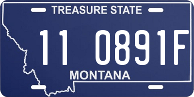 MT license plate 110891F