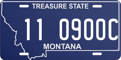 MT license plate 110900C