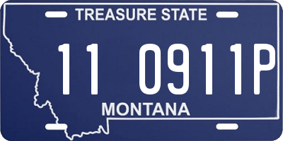 MT license plate 110911P