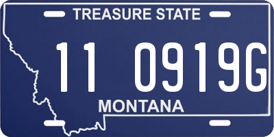 MT license plate 110919G