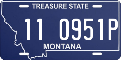 MT license plate 110951P