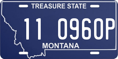 MT license plate 110960P