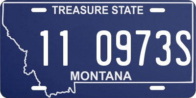 MT license plate 110973S