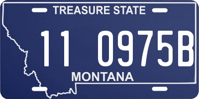 MT license plate 110975B