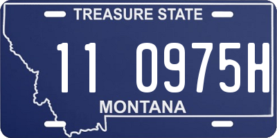 MT license plate 110975H