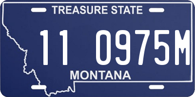MT license plate 110975M