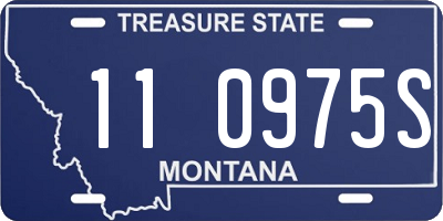 MT license plate 110975S