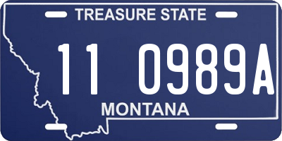 MT license plate 110989A