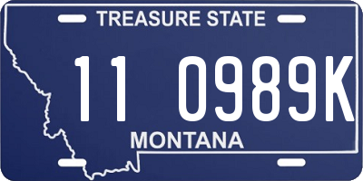 MT license plate 110989K