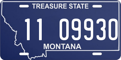 MT license plate 110993O