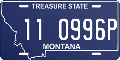 MT license plate 110996P