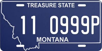 MT license plate 110999P