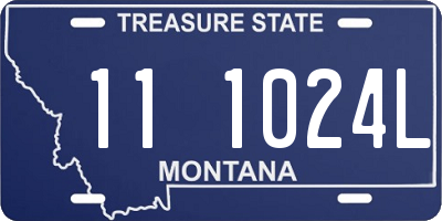 MT license plate 111024L