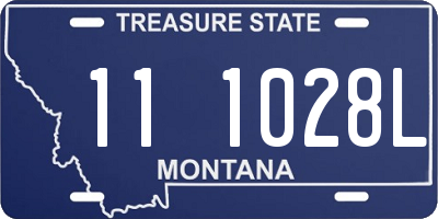 MT license plate 111028L