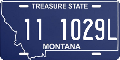 MT license plate 111029L