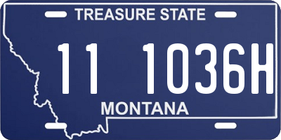 MT license plate 111036H