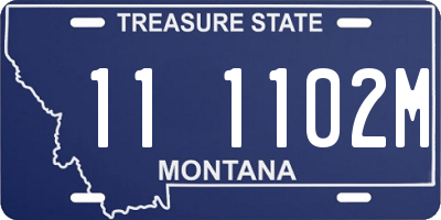 MT license plate 111102M