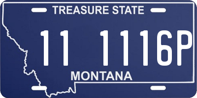 MT license plate 111116P
