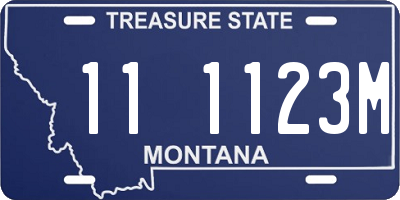 MT license plate 111123M