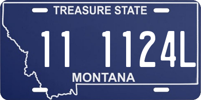 MT license plate 111124L