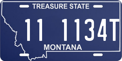 MT license plate 111134T