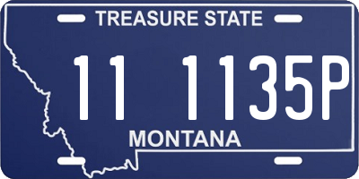 MT license plate 111135P