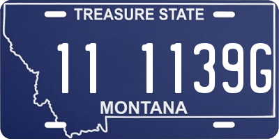 MT license plate 111139G