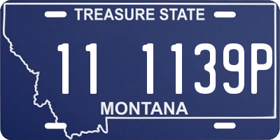 MT license plate 111139P