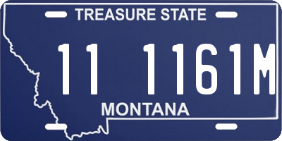 MT license plate 111161M