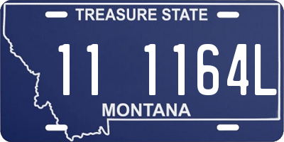 MT license plate 111164L