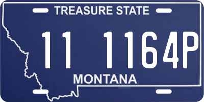 MT license plate 111164P