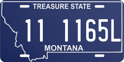 MT license plate 111165L