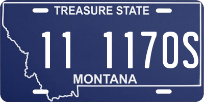 MT license plate 111170S