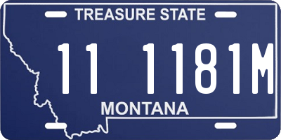 MT license plate 111181M