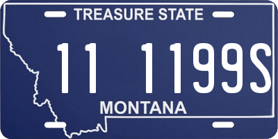 MT license plate 111199S