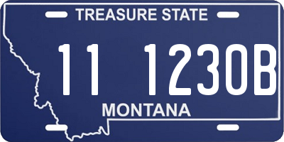 MT license plate 111230B
