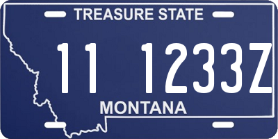 MT license plate 111233Z